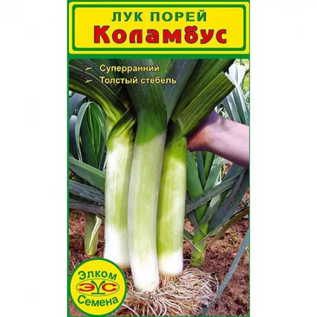 Отзывы о сортах лука-порея
